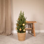 Kerstboom 80 cm inclusief gouden versiering